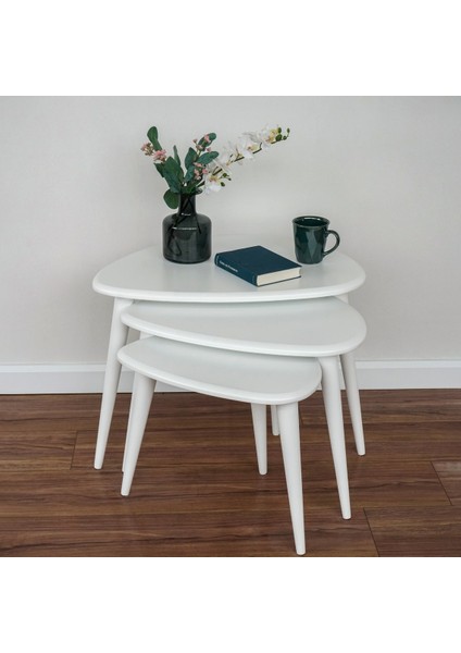 Ercol Style Lake Boyalı Zigon Orta Sehpa Takımı, Oturma Odası Mobilya 3'lü Set