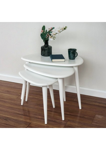 Ercol Style Lake Boyalı Zigon Orta Sehpa Takımı, Oturma Odası Mobilya 3'lü Set fiyatları