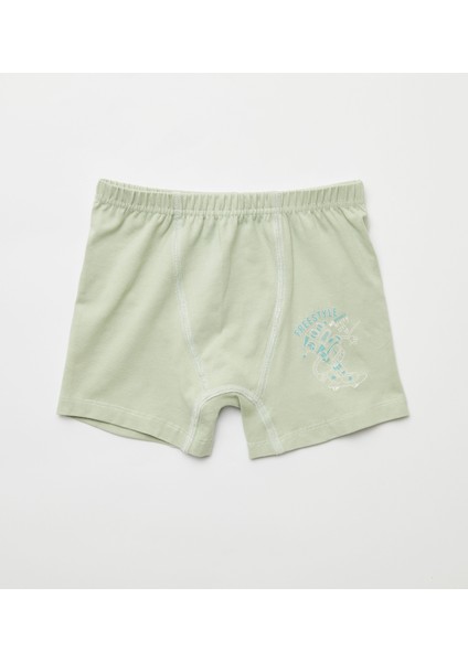 Erkek Çocuk Organik Pamuklu Likralı Boxer 4'l Ü Freestyle Robot 3505-4 indirimleri