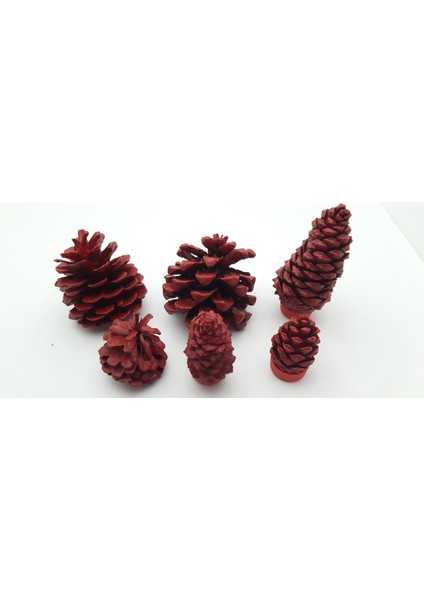 Yılbaşı, Yeni Yıl Noel Ağacı Süsleme Için Dekoratif Boyalı Kozalak Model 20
