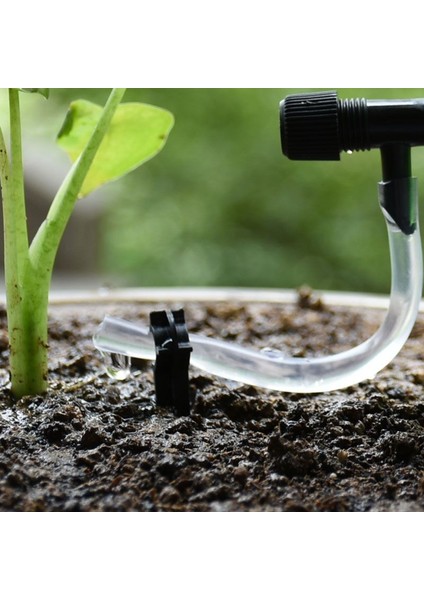 Bir Stil Otomatik Damla Sulama Sistemi Dıy Otomatik Bitki Waterers Konik Sulama Suyu Saksı Bitki Sulama 1 Adet (Yurt Dışından) indirimleri