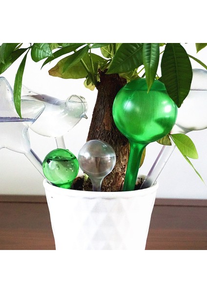 6 Adet Yeşil L Tarzı Adet Otomatik Bitki Sulama Ampul Kendinden Sulama Cihazı Houseplant Bitki Pot Ampul Küre Bitki Için Bahçe Sulama Sistemi (Yurt Dışından) fiyatları