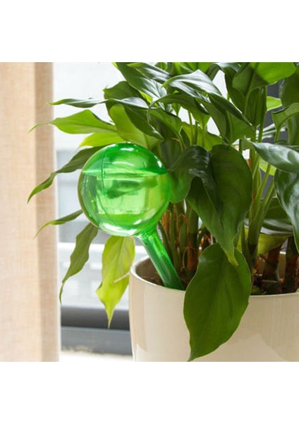 6 Adet Yeşil L Tarzı Adet Otomatik Bitki Sulama Ampul Kendinden Sulama Cihazı Houseplant Bitki Pot Ampul Küre Bitki Için Bahçe Sulama Sistemi (Yurt Dışından) fırsatları