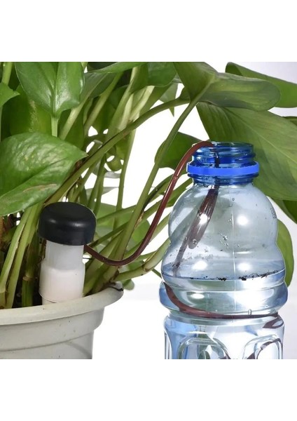 8 Adet Kapalı Otomatik Damla Sulama Sulama Sistemi Çiçek Bitki Sulama Araçları Saksı Mikro Damla Kafa (Yurt Dışından) modelleri