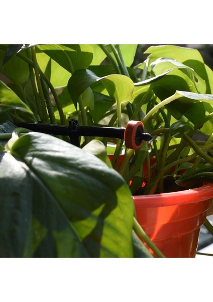 SPL11-142-50PCS Tarzı Sprycle L 4l 8l Basınç Dengeleyici Yayıcı Damlatıcı Kendi Kendini Temizleyen Damla Sulama Suyu Regülatörü E Hortum Delgeç (Yurt Dışından) fırsatları