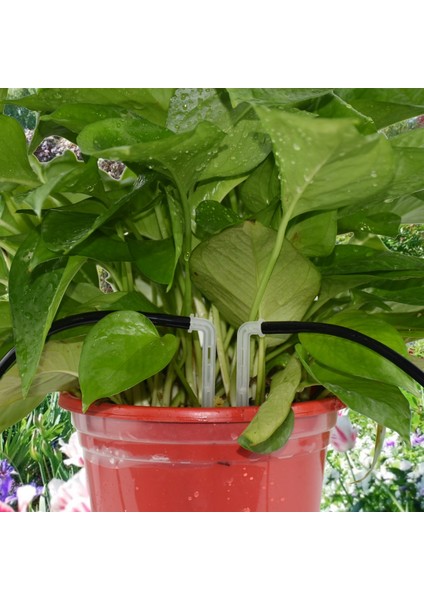 KSL01-095-50PCS Tarzı Kesla 50X Şeffaf Büküm Ok '' Hortum Damlatıcı Damlatıcı Su Tasarruflu Yağmurlama Bahçe Mikro Sulama Sera (Yurt Dışından) fırsatları