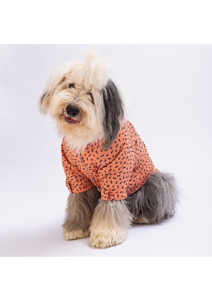 Somon Ossa Büyük Köpek Gömleği Köpek Kıyafeti 15 Kg 45 Kg