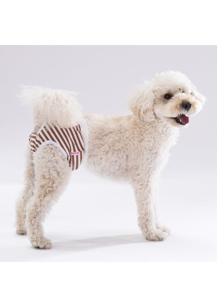 Çizgili Kedi Köpek Çamaşırı Regl Kilodu 3'lü Paket