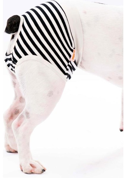 Çizgili Kedi Köpek Çamaşırı Regl Kilodu 3'lü Paket fiyatları