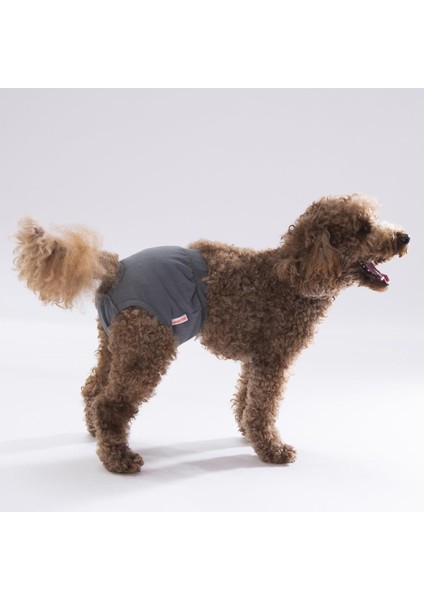 Karışık Düz Renkli 2 Kedi Köpek Çamaşırı Regl Kilodu 3'lü Paket