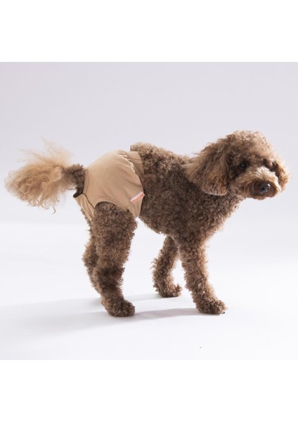 Karışık Düz Renkli 2 Kedi Köpek Çamaşırı Regl Kilodu 3'lü Paket modelleri