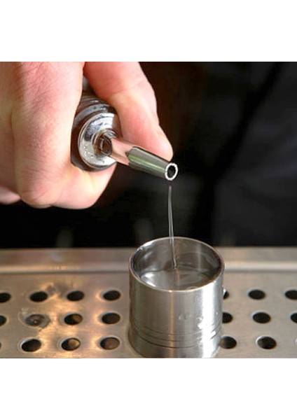 Paslanmaz Çelik Viski Likör Yağı Şarap Şişesi Dökücü Kapağı Bacalı Stoper Ağız Dağıtıcı Barmen Ev Barı Parti Aksesuarları (Yurt Dışından) fiyatları