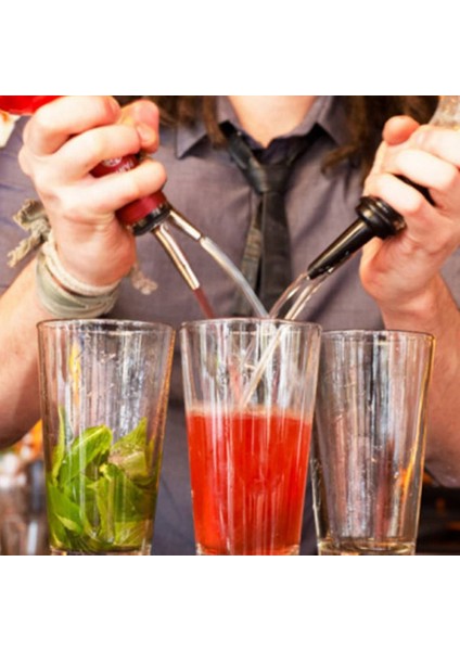 Siyah Stil 2 Adet Ev Bar Şarap Şişesi Dökücü Paslanmaz Çelik Viski Likör Yağı Kapağı Bacalı Stoper Ağız Dağıtıcı Barmen Parti Aksesuarları (Yurt Dışından) modelleri