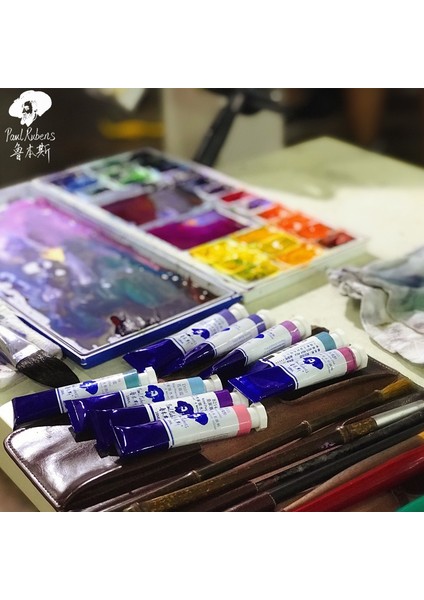 D243 Stili Paul Rubens 18ML Suluboya Boya Tubeolor Aquarelle Sanatçı Sınıfı Profesyonel Sanat Malzemeleri Için Yüksek Li Pigment Tüpü (Yurt Dışından) fiyatları