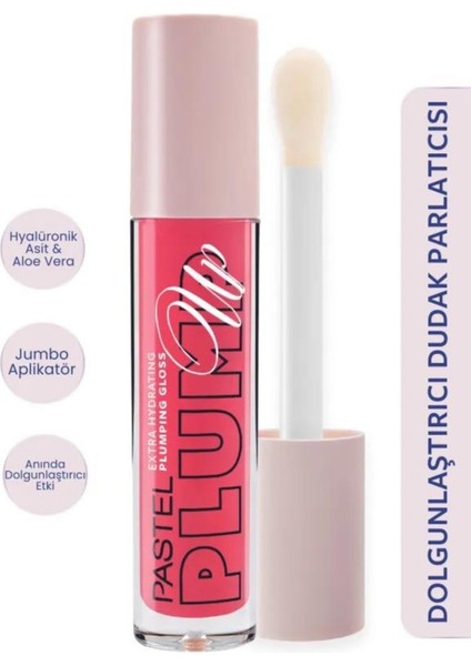 Plump Up Extra Hydrating Plumping Gloss - Dolgunlaştıran Dudak Parlatıcısı 204 Spicy Sweet