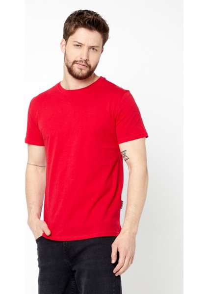 Erkek Çok Renkli T- Shirt Regular Fit Rahat Kesim Bisiklet Yaka 3'lü Basic Tişört Paketi