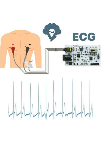Emg Eog Ekg Sensör Kartı (Kas, Göz ve Kalp Sinyalleri Algılama)