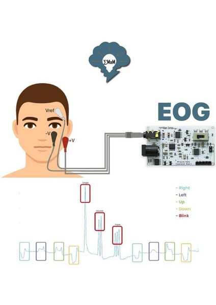 Emg Eog Ekg Sensör Kartı (Kas, Göz ve Kalp Sinyalleri Algılama)