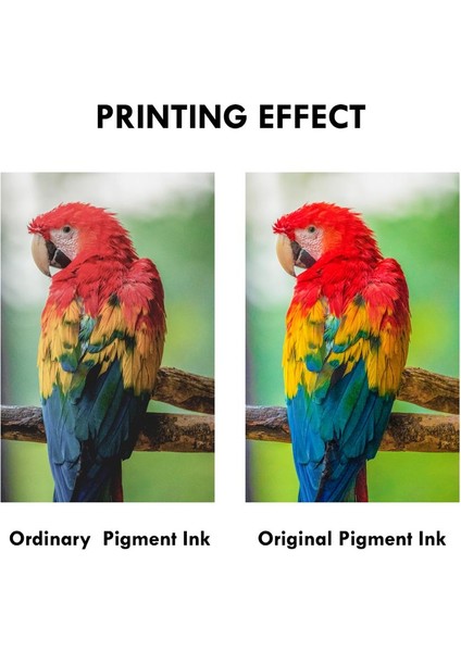 8.5X11 Inç 126GSM Tarzı Süblimasyon Kağıdı Mürekkep Püskürtmeli Isı Transferi Fotoğraf Kağıdı 126G Polyester Tee Gömlek Için Eets Yastık Fabrone Vaka Baskı (Yurt Dışından) modelleri