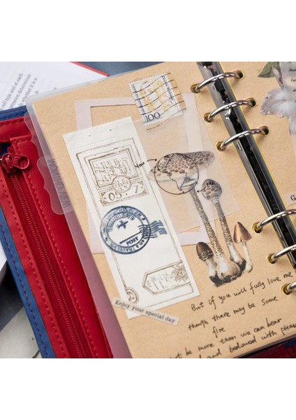 Stil 13 Stil Termal Kağıt Phomemo Yazdırılabilir Etiket Kendinden Yapışkanlı Fotoğraf Kağıdı Rulosu Için Phomemo SM02PRO Mini Taşınabilir Yazıcı Etiketleri (Yurt Dışından) indirimleri