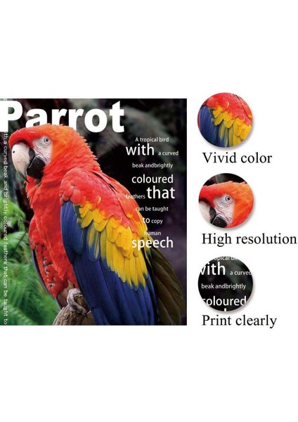 4r 200G 100 Yaprak Stili Fotoğraf Kağıdı 4r 5r A4 Mürekkep Püskürtmeli Yazıcılar Için Yüksek Parlak Yazıcı Fotoğrafçı Baskısı Ofis Malzemeleri (Yurt Dışından) indirimleri