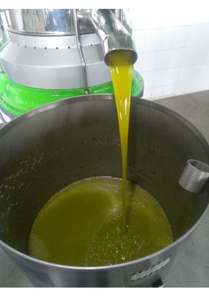 Erken Hasat Soğuk Sıkım Sızma Zeytinyağı 1 Lt Pet