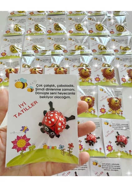 Uğur Böceği Çikolatalı Iyi Tatiller- Okul- Çocuk- Karne Hediyesi 10 Adet