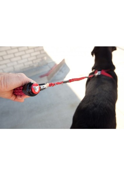 Cujo  Dog Leash Kırmızı