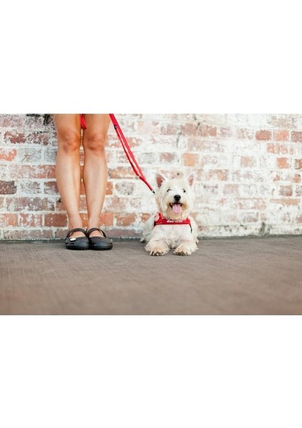 Soft Trainer Leash Mavi