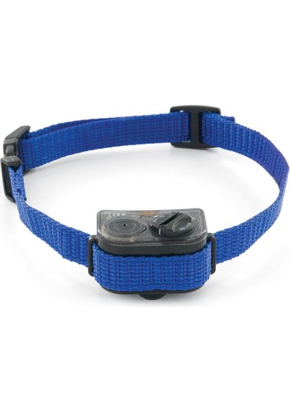 Petsafe Küçük Köpek Spreyli Eğitim Tasması PBC19-11796