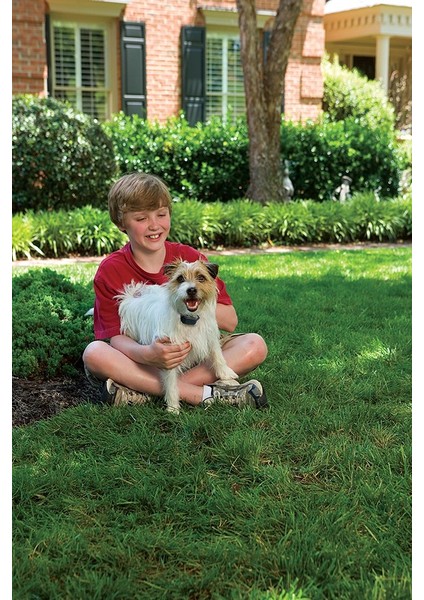 Petsafe Küçük Köpek Spreyli Eğitim Tasması PBC19-11796
