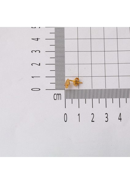 Balık 22 Ayar Klipsli Altın Küpe