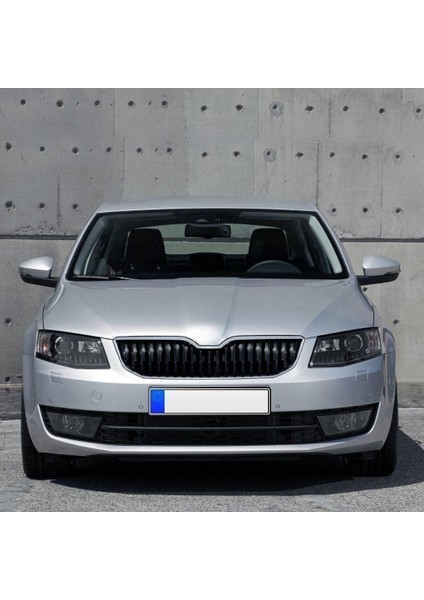 Ayak Bölmesi Aydınlatma Lambası Skoda Octavia 2017-2020 6L0947415A fiyatları