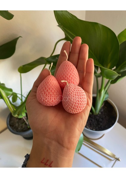 One stawberry modelleri