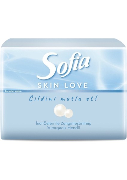 Skin Love Mini Mendil 75'li