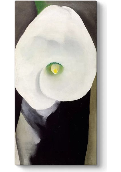 Georgia Okeeffe - Calla Lily For Alfred Kanvas Tablo