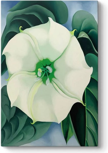 Georgia Okeeffe - White Flower Kanvas Tablo
