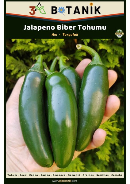 Jalapeno Biber Tohumu, Yerli ve Sürdürülebilir Tohum, 1 Gram Biber Tohumu