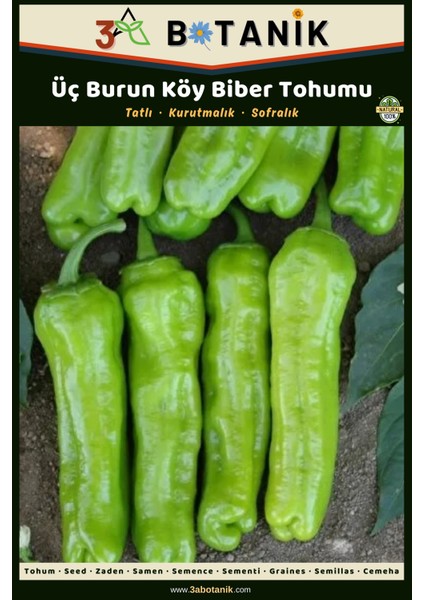 Üç Burun Köy Biber Tohumu, Yerli ve Sürdürülebilir Tohum, 5 Gram Biber Tohumu