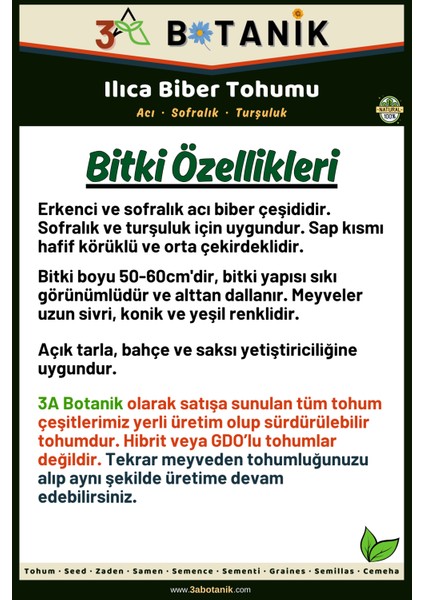 Acı Ilıca Biber Tohumu, Yerli ve Sürdürülebilir Tohum, 5 Gram Biber Tohumu