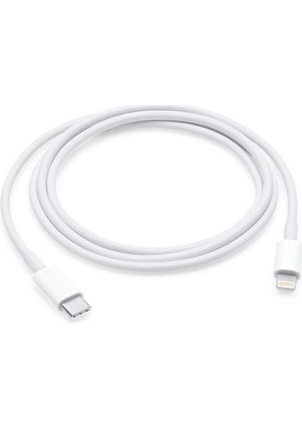 Uyumlu Usb-C To Lightning Kablo 1 M Kablo