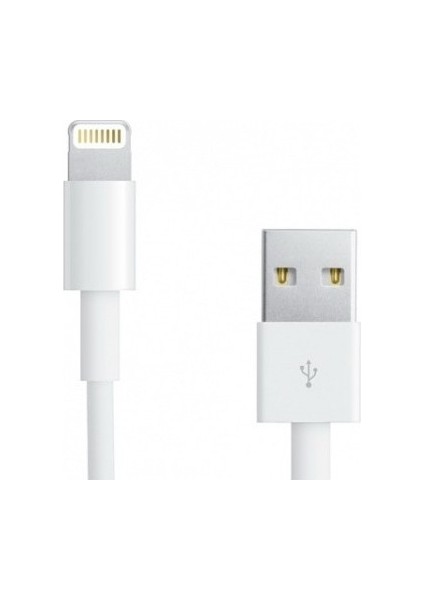 Tm Apple Lightning Şarj ve Data Kablosu Lisanslı 1 mt