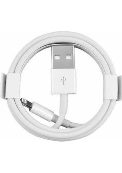 Apple Iphone Usb-Lightning Kablo 1 Metre 5-5s-5se/6-6plus-6s-6s Plus-7-7 Plus/x/xs Max