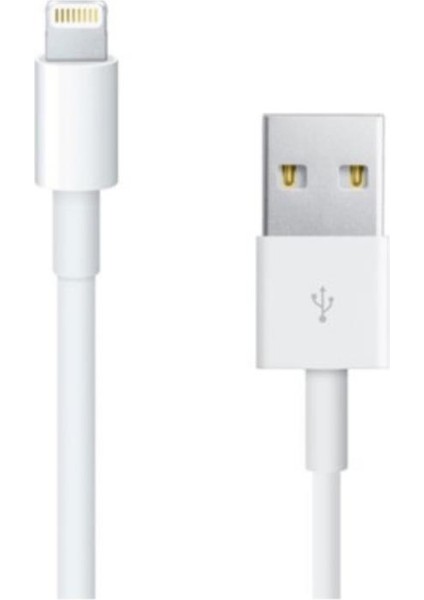 Apple Iphone Usb-Lightning Kablo 1 Metre 5-5s-5se/6-6plus-6s-6s Plus-7-7 Plus/x/xs Max