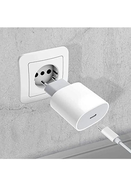Iphone Tüm Seriler Uyumlu Hızlı Şarl Aleti 20W Usb-C Kablo Adaptör Set 5 6 7 8 x 11 12 13 14 Pro Max Sesatech