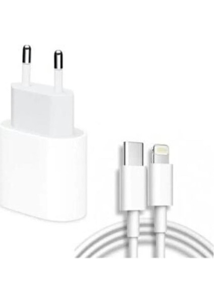 Iphone Tüm Seriler Uyumlu Hızlı Şarl Aleti 20W Usb-C Kablo Adaptör Set 5 6 7 8 x 11 12 13 14 Pro Max Sesatech