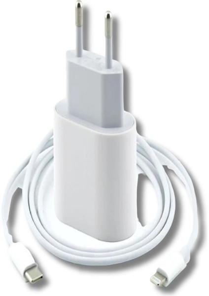 Dexover 20W Tüm Telefon Modelleri ile Uyumlu Hızlı Şarj Aleti Seti