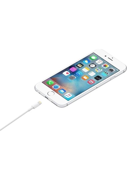 Iphone 11 / 11 Promax / 12 / 12 Promax Için 20W Usb-C Güç Adaptörü + Usb-C Lightning Kablosu