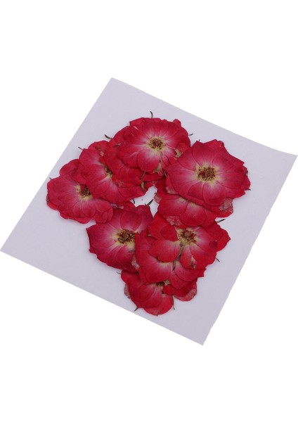 1 Torba Kurutulmuş Çiçekler Doğal Kurutulmuş Gerçek Bitki Kendi Başına Yap Kağıdı Sanat El Sanatları Kırmızı Gül (Yurt Dışından)