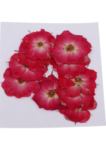 1 Torba Kurutulmuş Çiçekler Doğal Kurutulmuş Gerçek Bitki Kendi Başına Yap Kağıdı Sanat El Sanatları Kırmızı Gül (Yurt Dışından) fiyatları